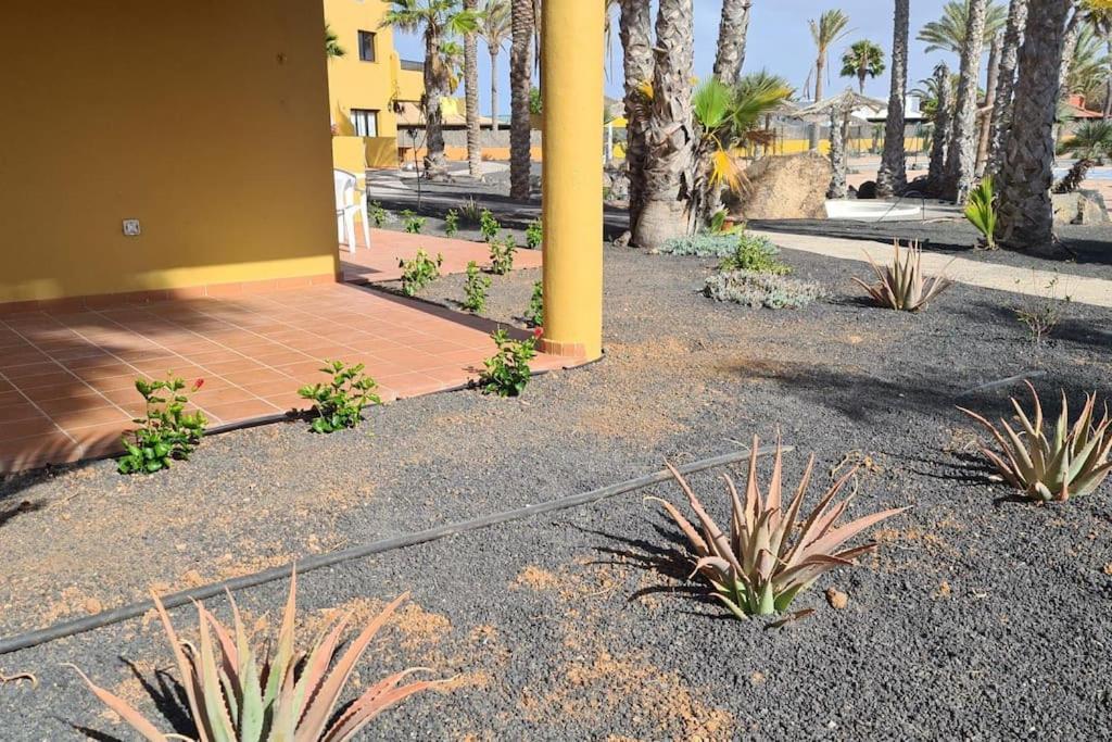 コラレホBeautiful Garden Flat Nearly Refurbished Free Wifiアパートメント エクステリア 写真
